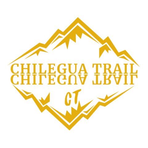 LOGO OFICIAL CT (10)