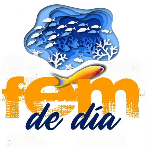 fem_de_dia