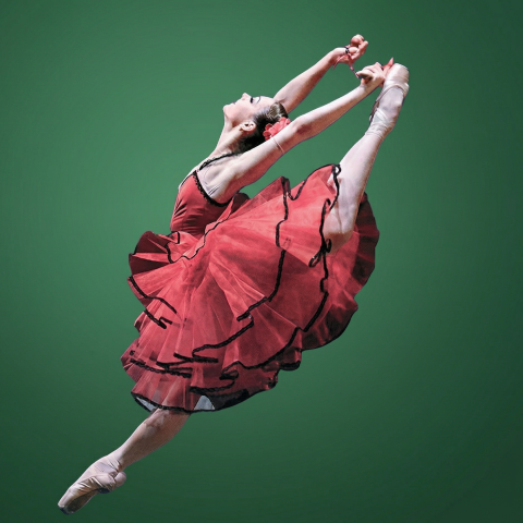 starsgallaclasic2026