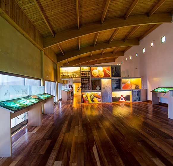 Museo Sal
