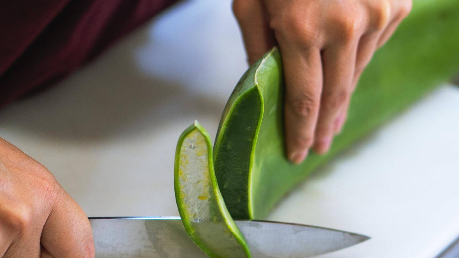 can you use aloe vera for lube Organic Aloe & Water-Based Lubricant