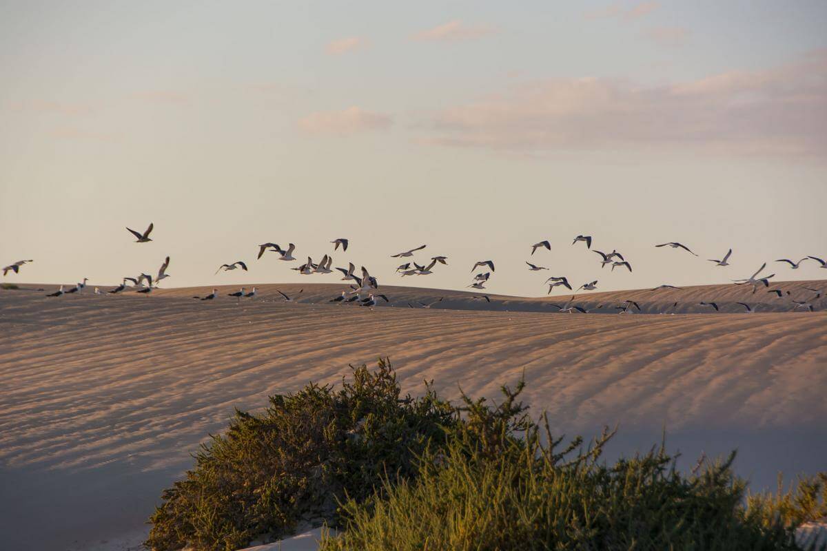 Corralejo, Fuerteventura. 