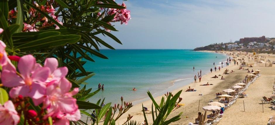 Playa de Costa Calma Populära stränder på Fuerteventura