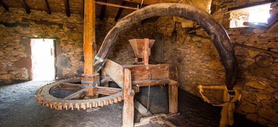 Ecomuseo de La Alcogida Museos en Fuerteventura