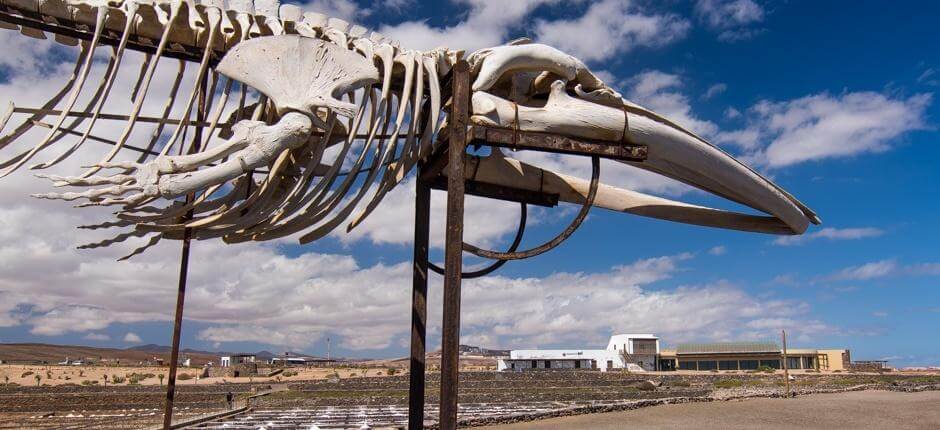 Museo de la Sal Museen und Orte von touristischem Interesse auf Fuerteventura