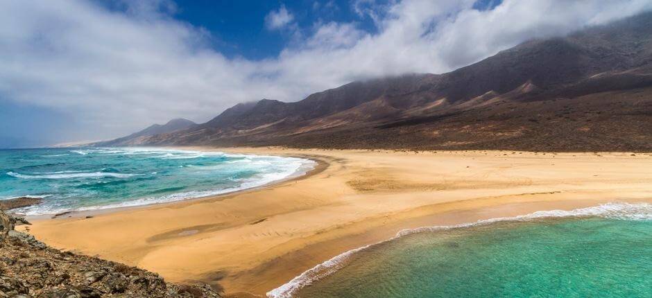 Beach de Cofete. Virgin beaches in Fuerteventura