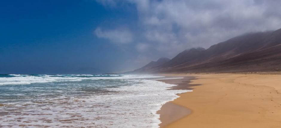 Spiaggia di Cofete + Spiagge incontaminate di Fuerteventura