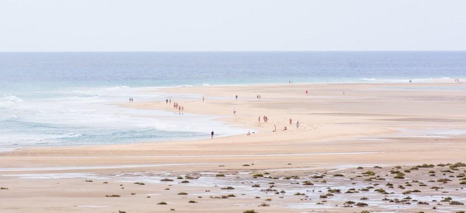 Playa de Sotavento + Ongerepte stranden van Fuerteventura