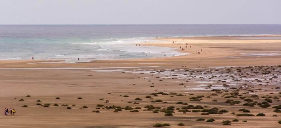 Kitesurf à la plage de Sotavento Spots de kitesurf de Fuerteventura 