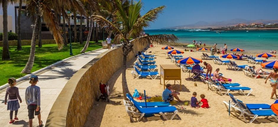 Plaża El Castillo Popularne plaże na Fuerteventura