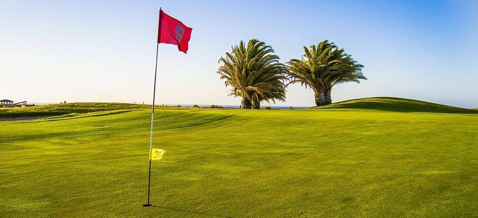 Golf Club Salinas de Antigua Terrains de golf de Fuerteventura