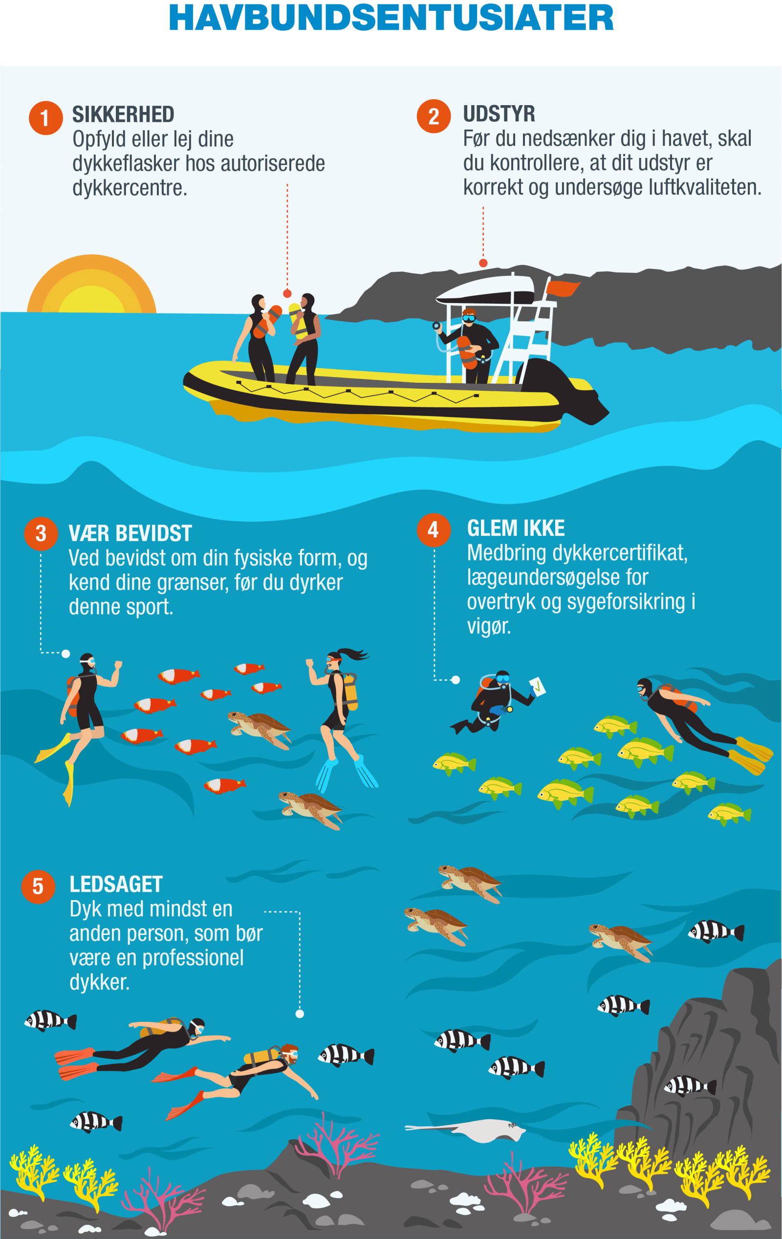 DA-Infografía 8 - Buceo