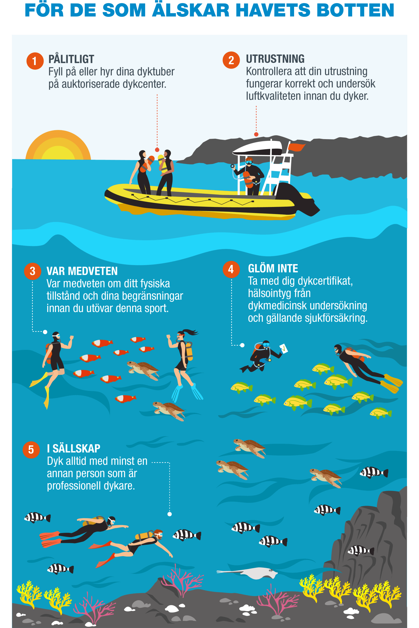 SV-Infografía 8 - Buceo