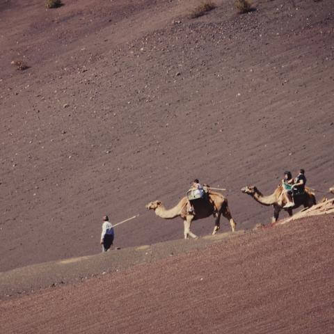 Cabalgata de reyes