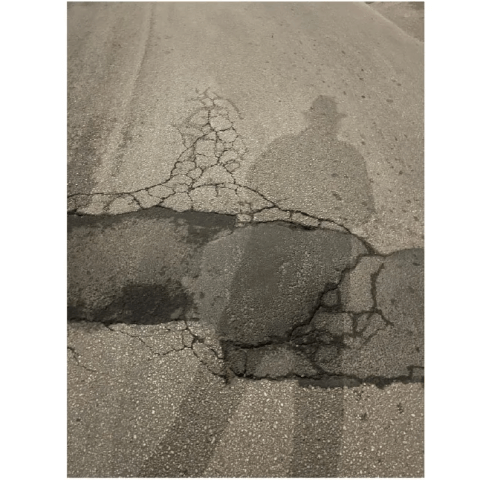 anna_conda_performance