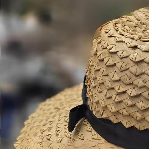 lasebada