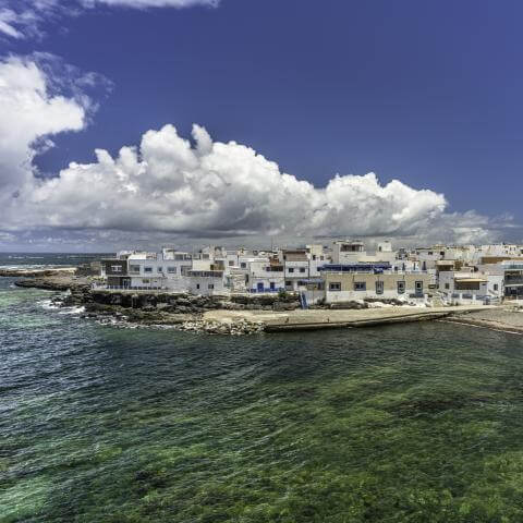 ph21736alta
