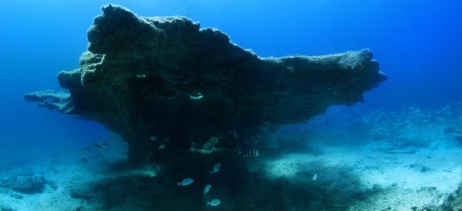 Dyka i Bajón del Río, på Fuerteventura