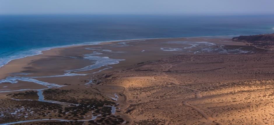 Sotavento-stranden + Urørte strender på Fuerteventura