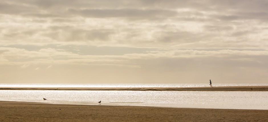 Sotavento beach. Virgin beaches of Fuerteventura