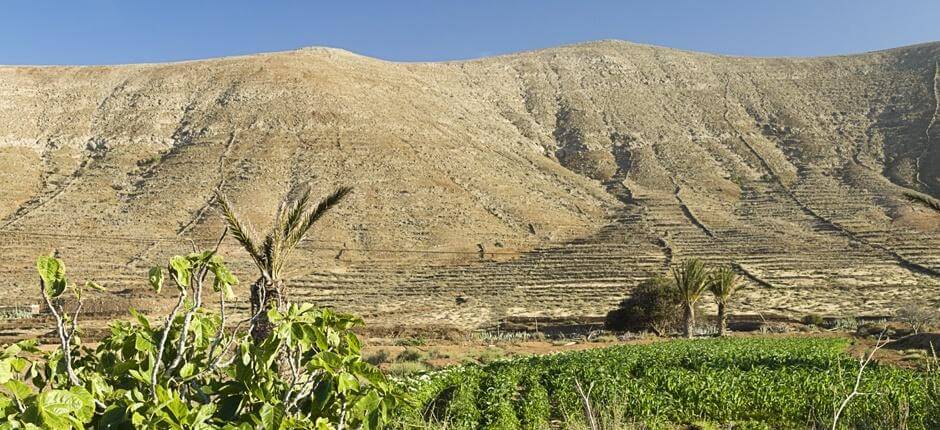 Vallebrón + Sentieri di Fuerteventura